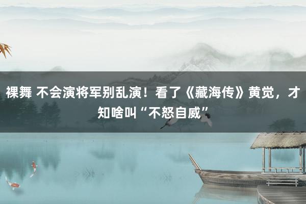 裸舞 不会演将军别乱演！看了《藏海传》黄觉，才知啥叫“不怒自威”